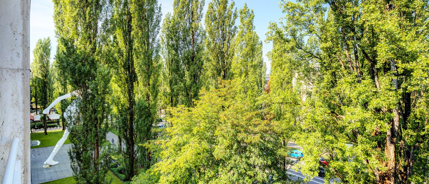 Wohnung München Schwabing (rechts der Leopoldstraße) 02 Aussicht 14569