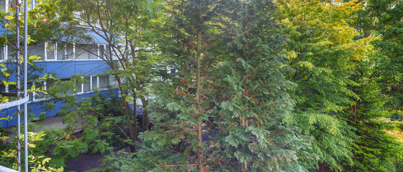 Wohnung München Obergiesing 01 Aussicht 14597