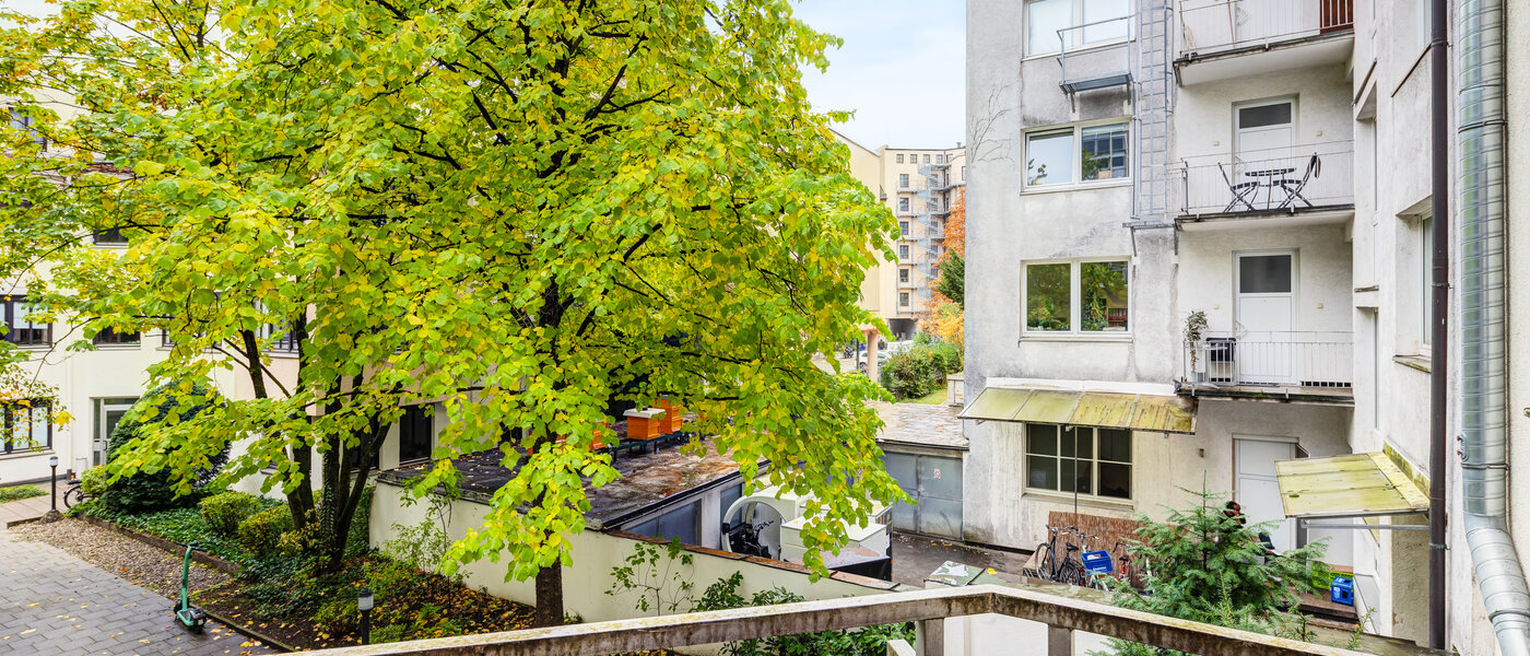 Wohnung München Maxvorstadt - Westen 02 Aussicht 14611