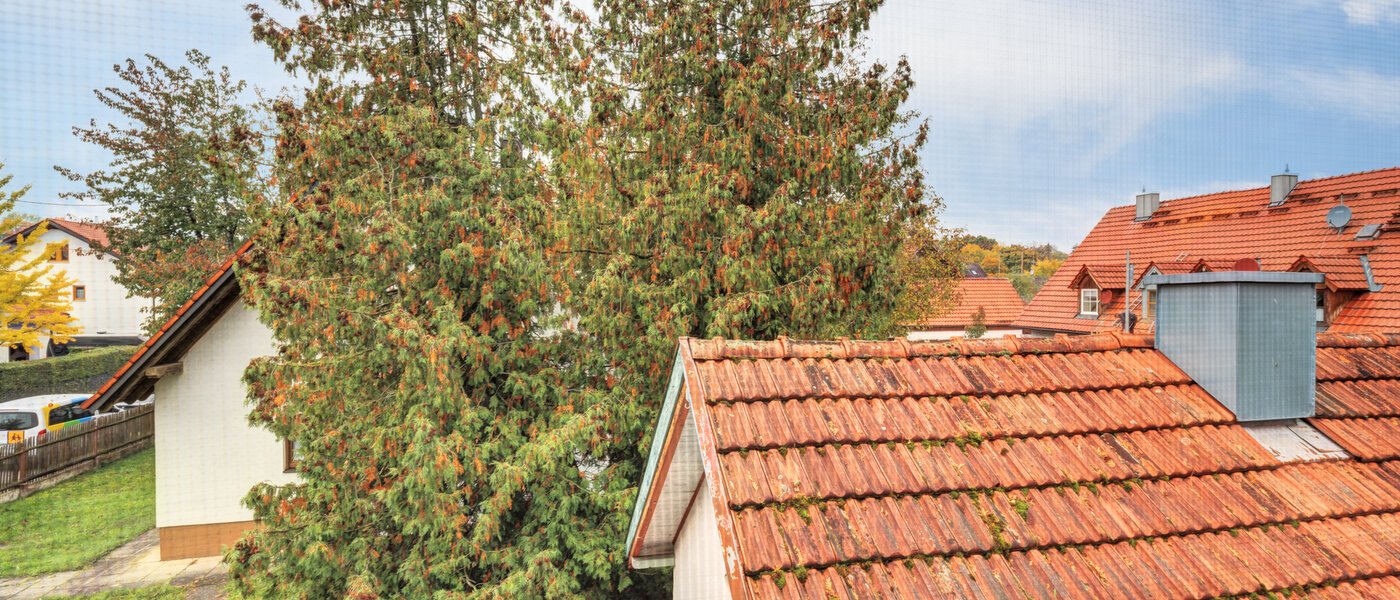 Einfamilienhaus Ismaning 02 Aussicht 14615