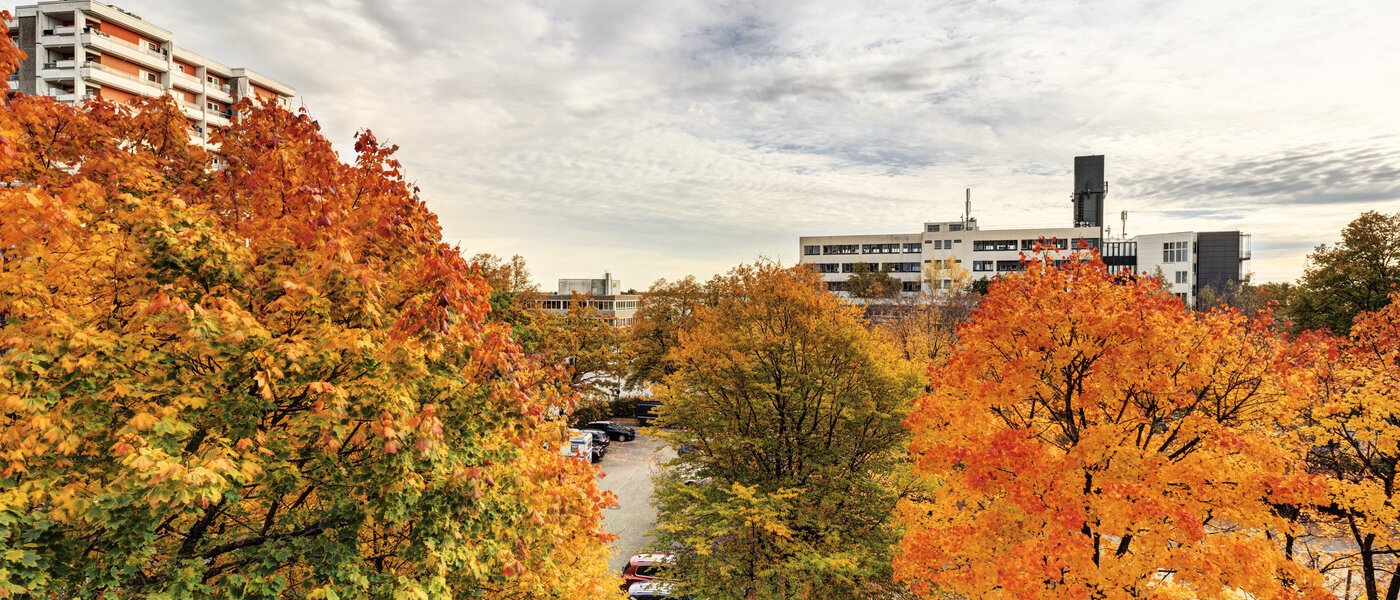 Wohnung Taufkirchen 01 Aussicht 14620
