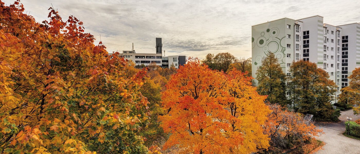 Wohnung Taufkirchen 02 Aussicht 14620