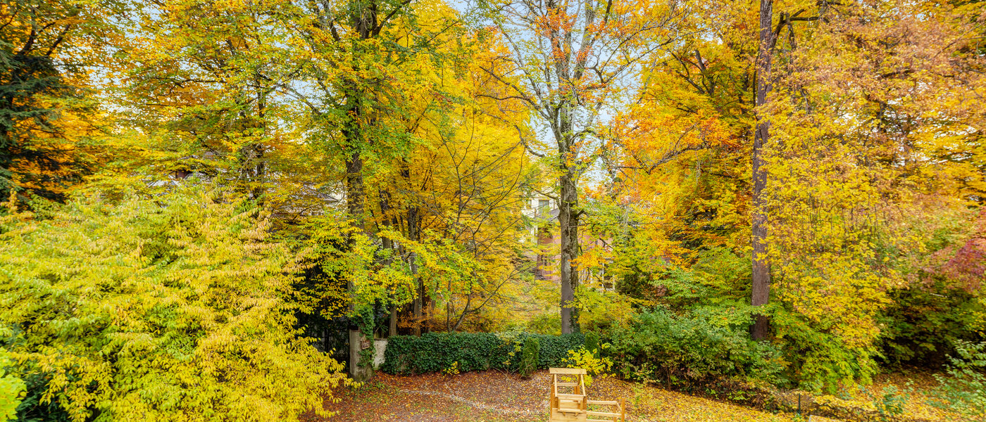 Wohnung München Harlaching 02 Aussicht 14629