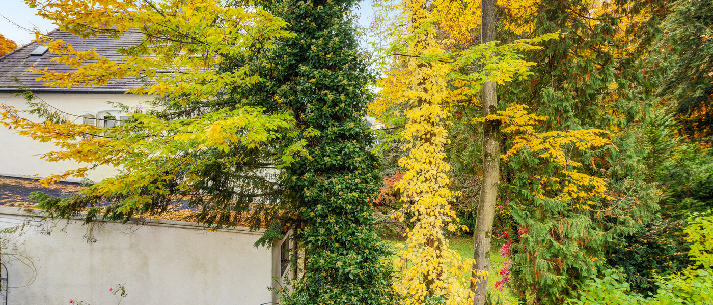 Wohnung München Harlaching 03 Aussicht 14629