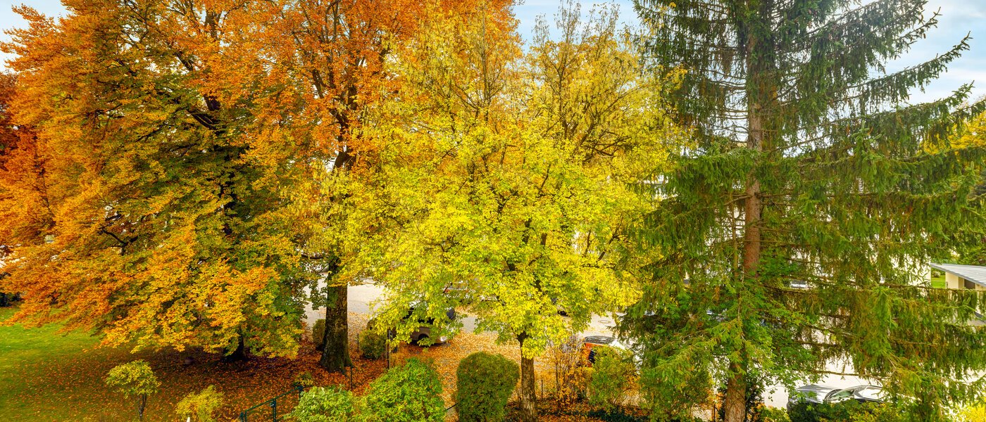 Wohnung Grünwald 01 Aussicht 14631