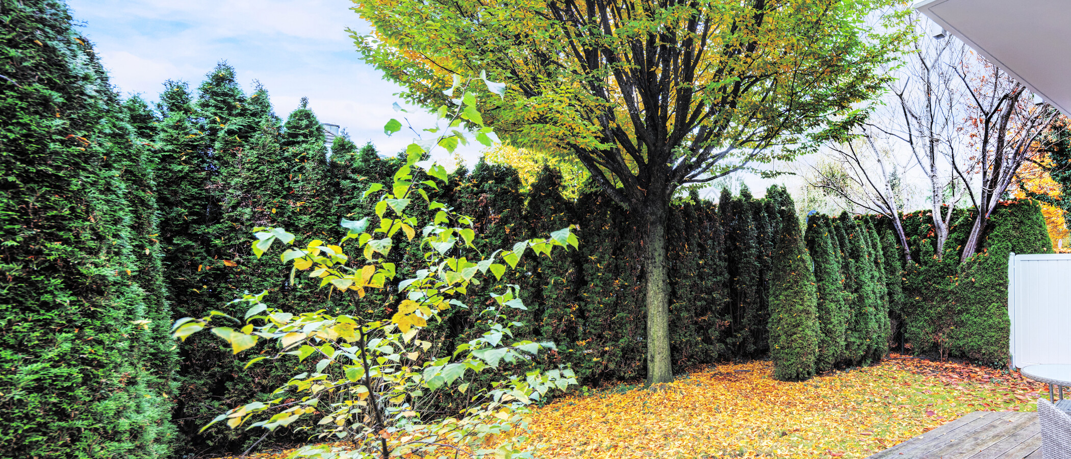 Gartenwohnung München Denning 01 Garten 14634
