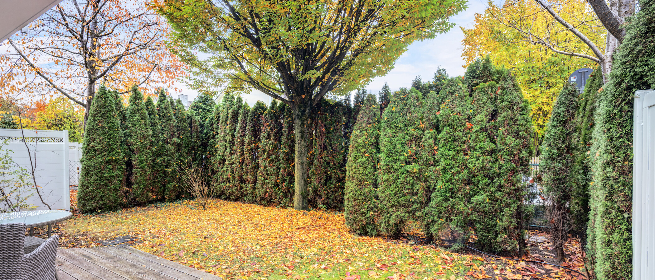 Gartenwohnung München Denning 02 Garten 14634
