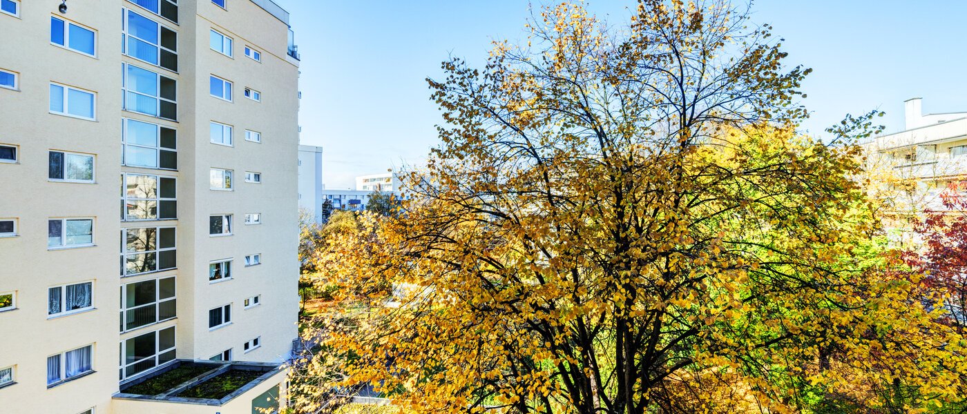 Wohnung München Moosach 02 Aussicht 14638