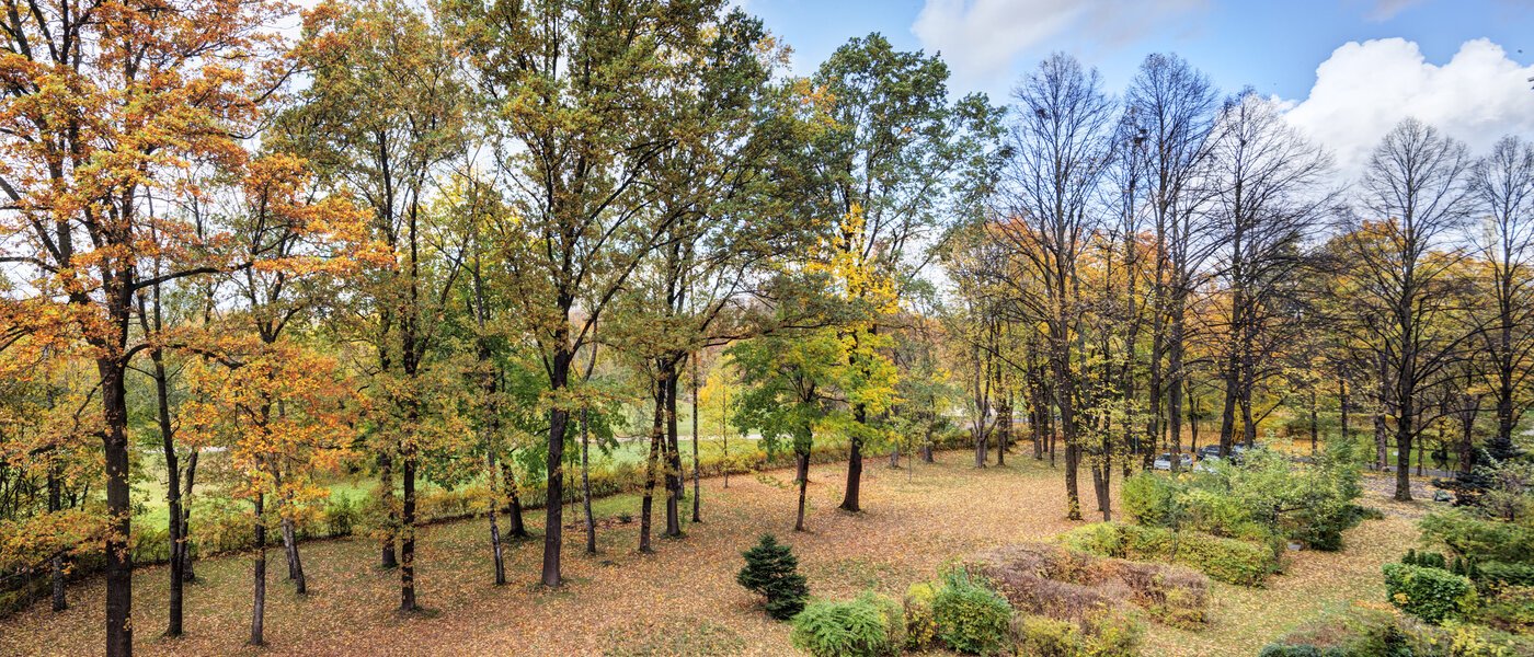 Wohnung München Bogenhausen 01 Aussicht 14639