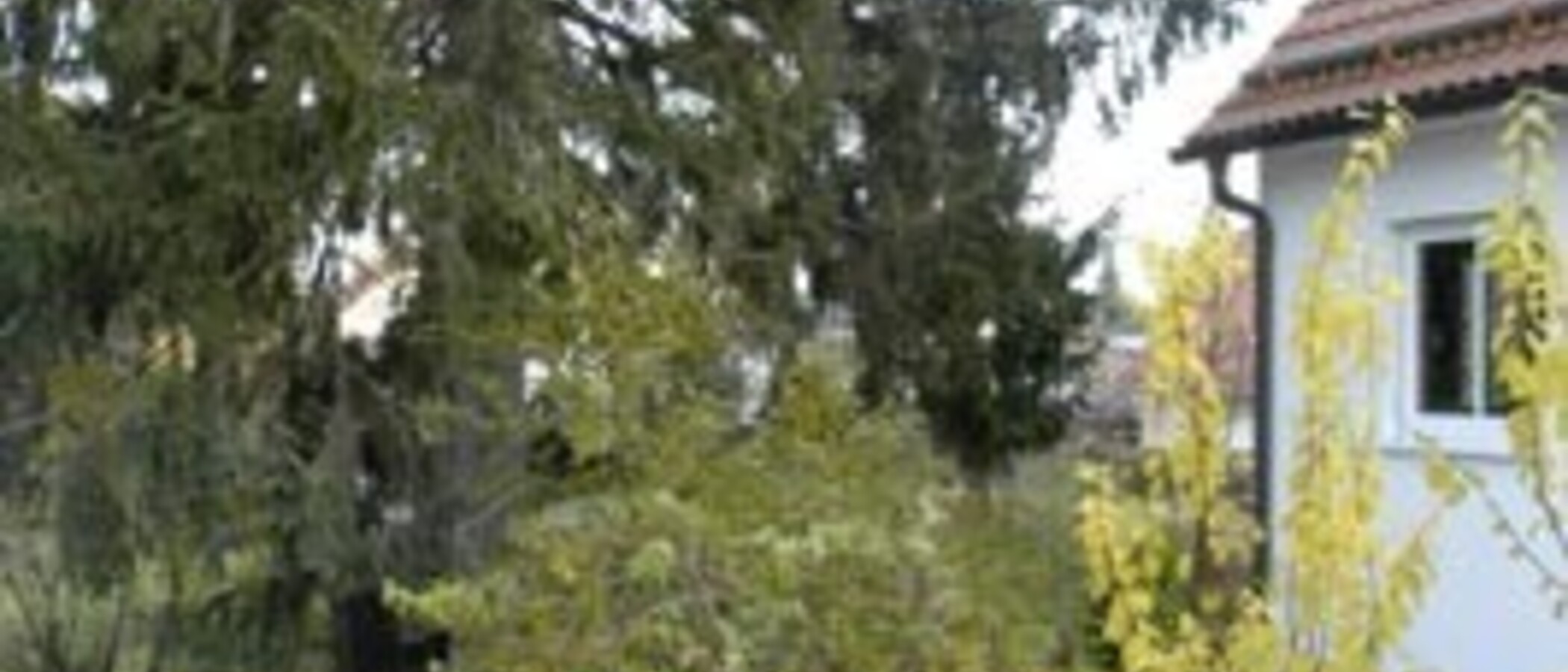 Doppelhaushälfte München Trudering 03 Aussicht 1464