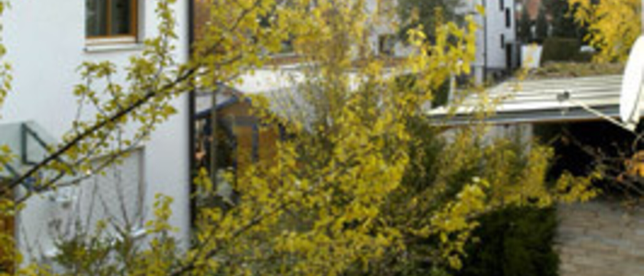 Doppelhaushälfte München Trudering 04 Aussicht 1464