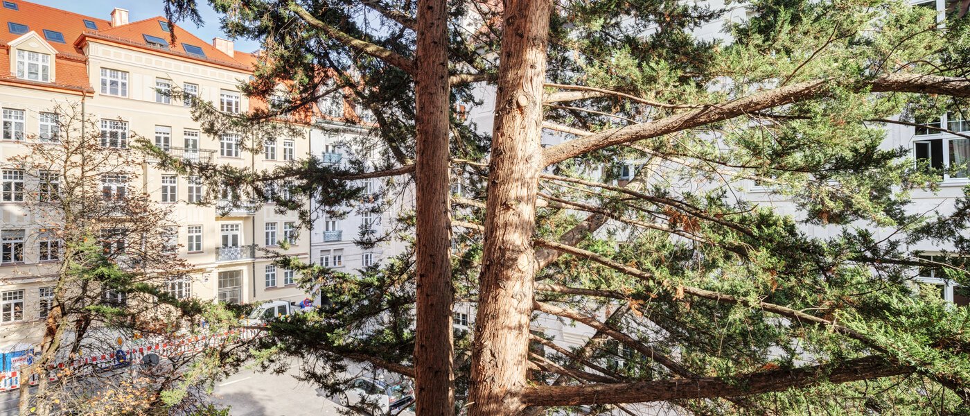 Wohnung München Schwabing-West 02 Aussicht 14646