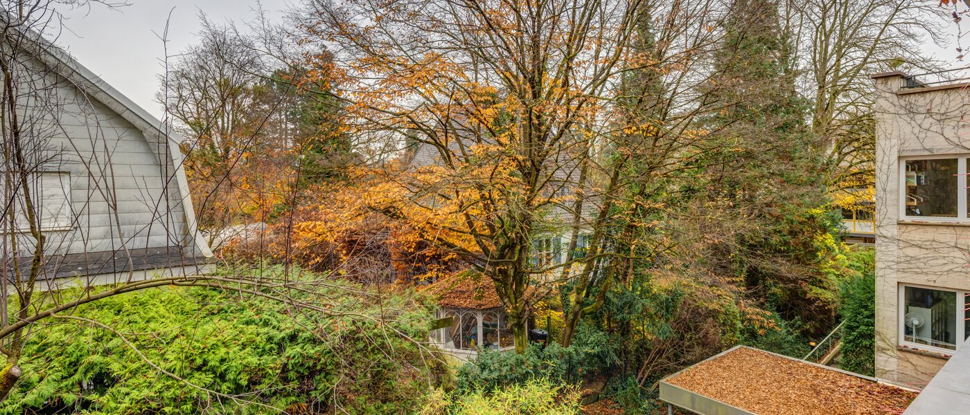 Wohnung München Nymphenburg 01 Aussicht 14655