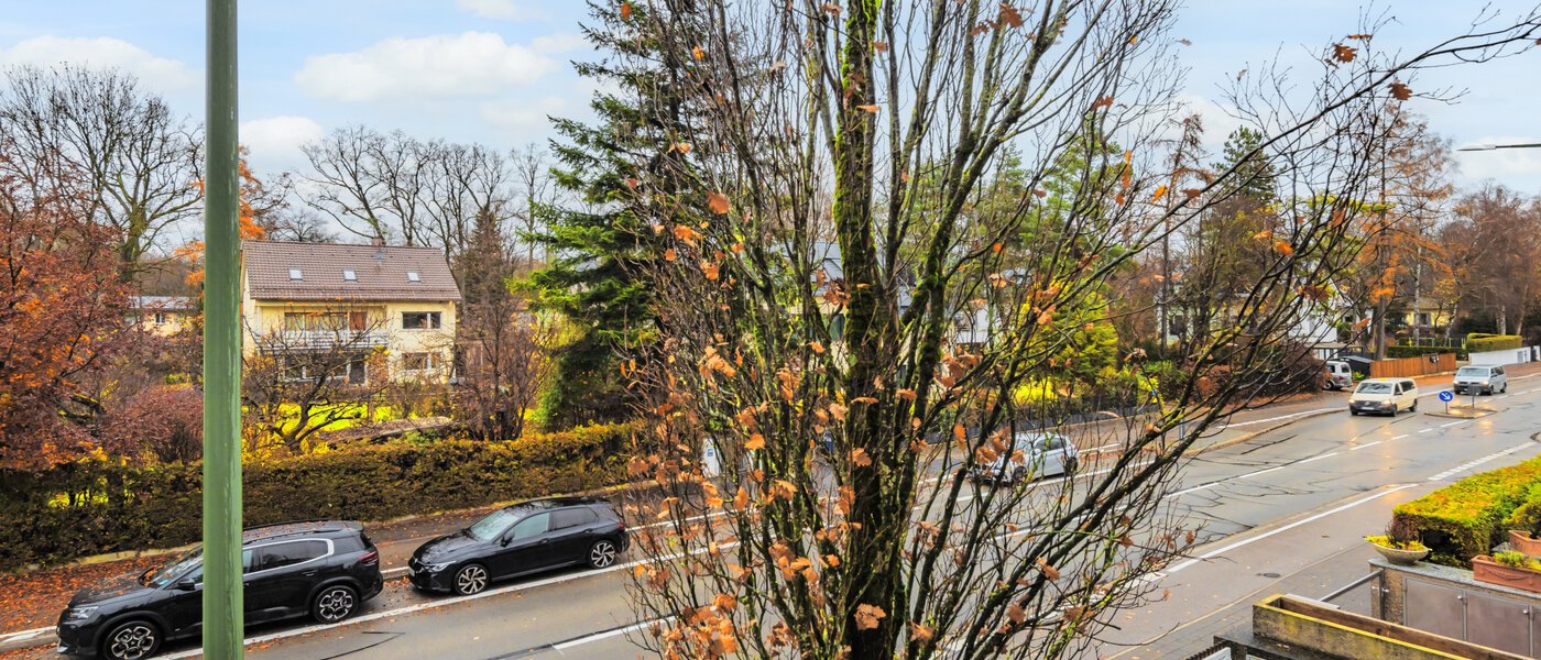 Wohnung München Fasangarten 02 Aussicht 14666