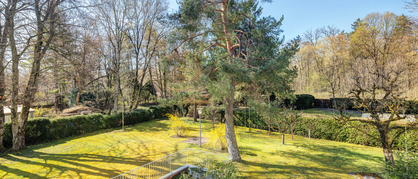 Wohnung München Fasangarten 02 Aussicht 14668