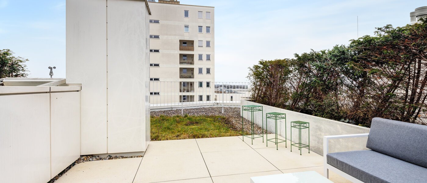 Dachterrassenwohnung München Neuhausen 03 Dachterrasse 14699