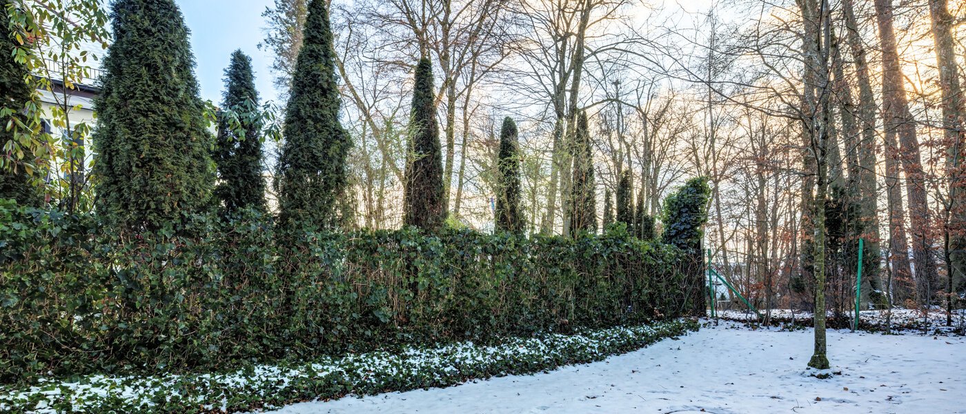 Wohnung München Harlaching 01 Garten 14713