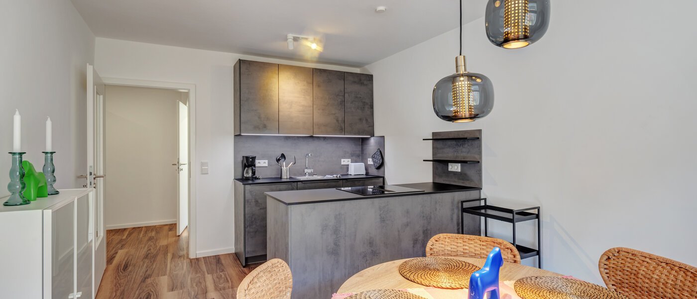 Wohnung München Isarvorstadt 01 Küche 14764