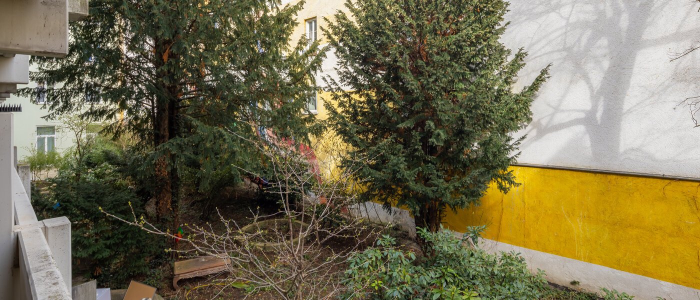 Apartment München Maxvorstadt 01 Aussicht 14791