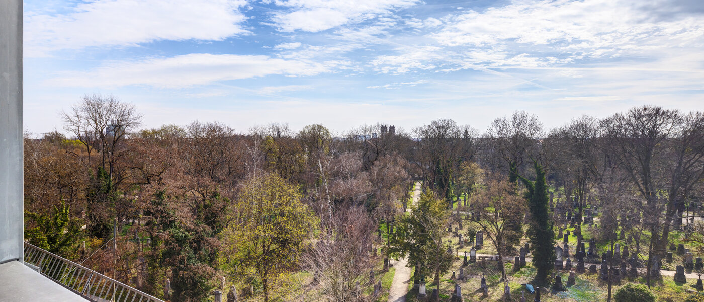 Dachgeschosswohnung München Ludwigsvorstadt 02 Aussicht 14803