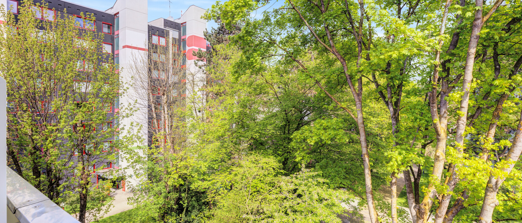 Wohnung München Schwabing-West 01 Aussicht 14831