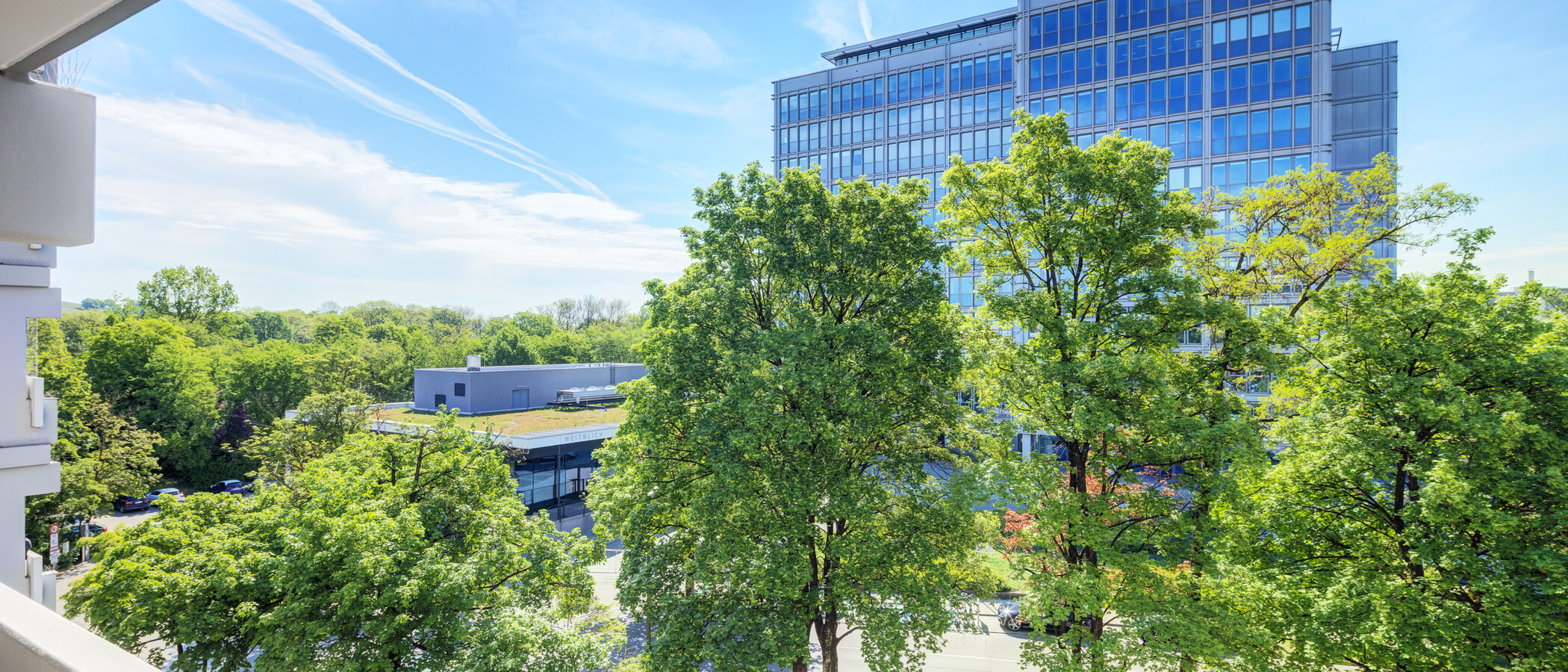 Wohnung München Nymphenburg 01 Aussicht 14845