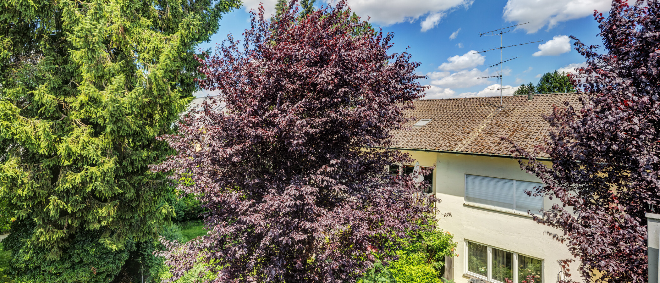 Wohnung München Oberföhring 02 Aussicht 14848