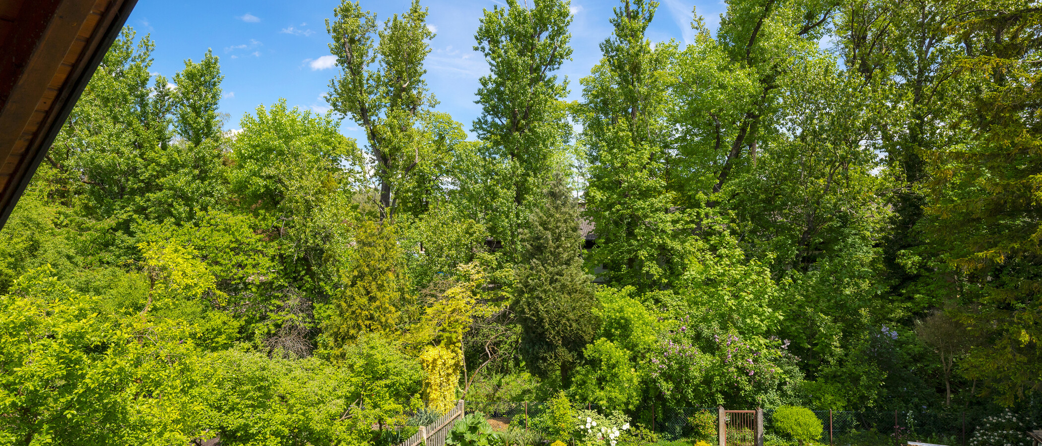 Dachgeschosswohnung München Daglfing 01 Aussicht 14852