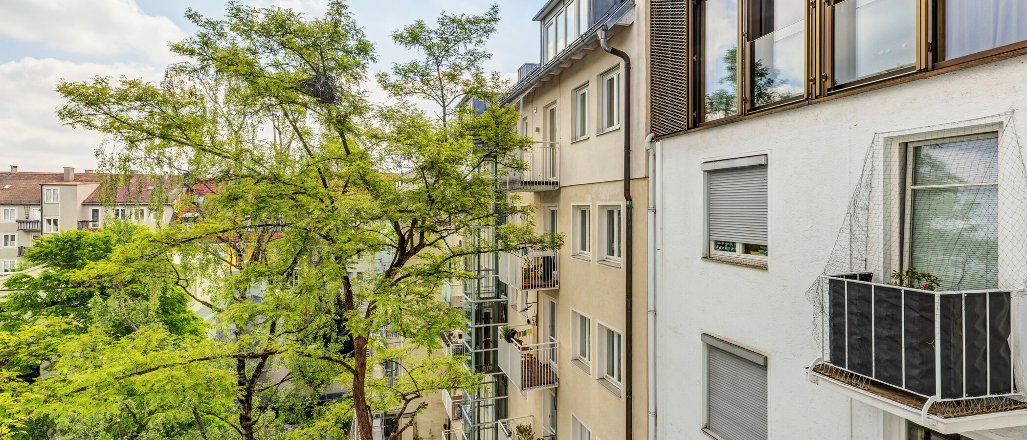 Wohnung München Maxvorstadt - Universitätsviertel 02 Aussicht 14853