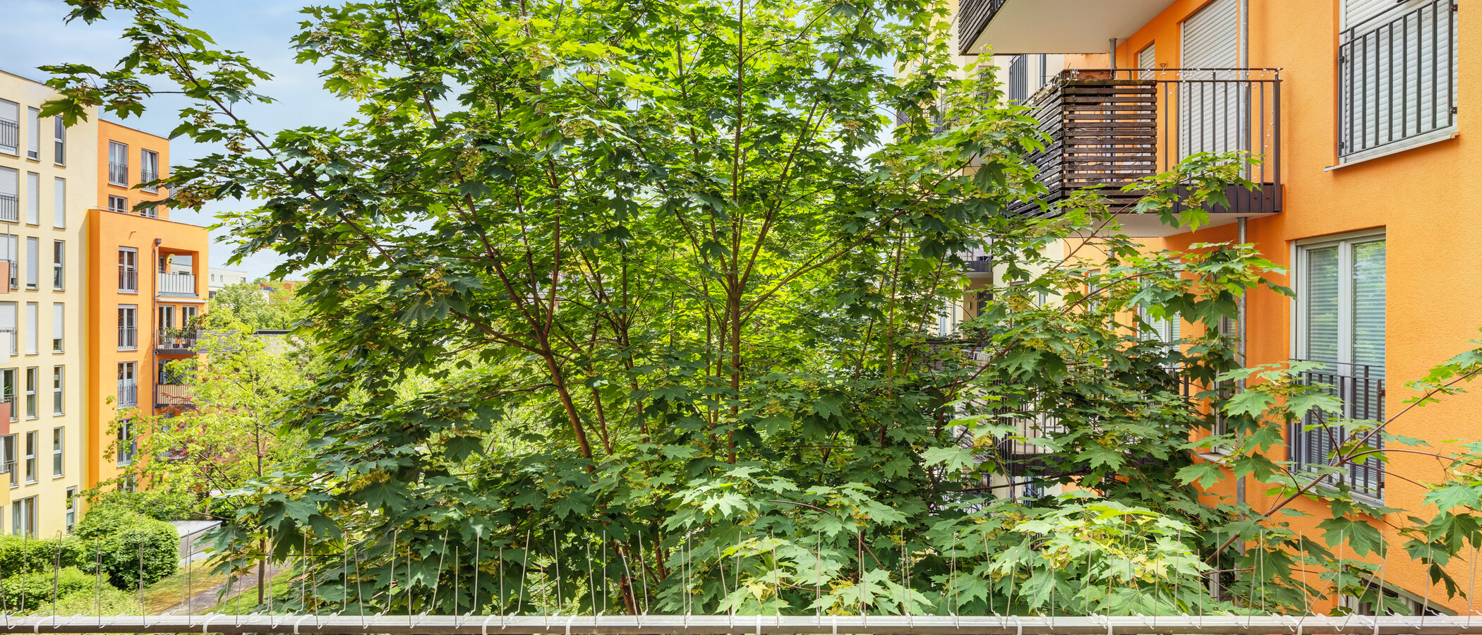 Wohnung München Haidhausen 02 Aussicht 14860