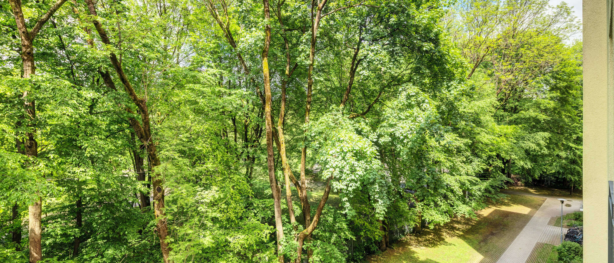 Wohnung München Haidhausen 04 Aussicht 14860