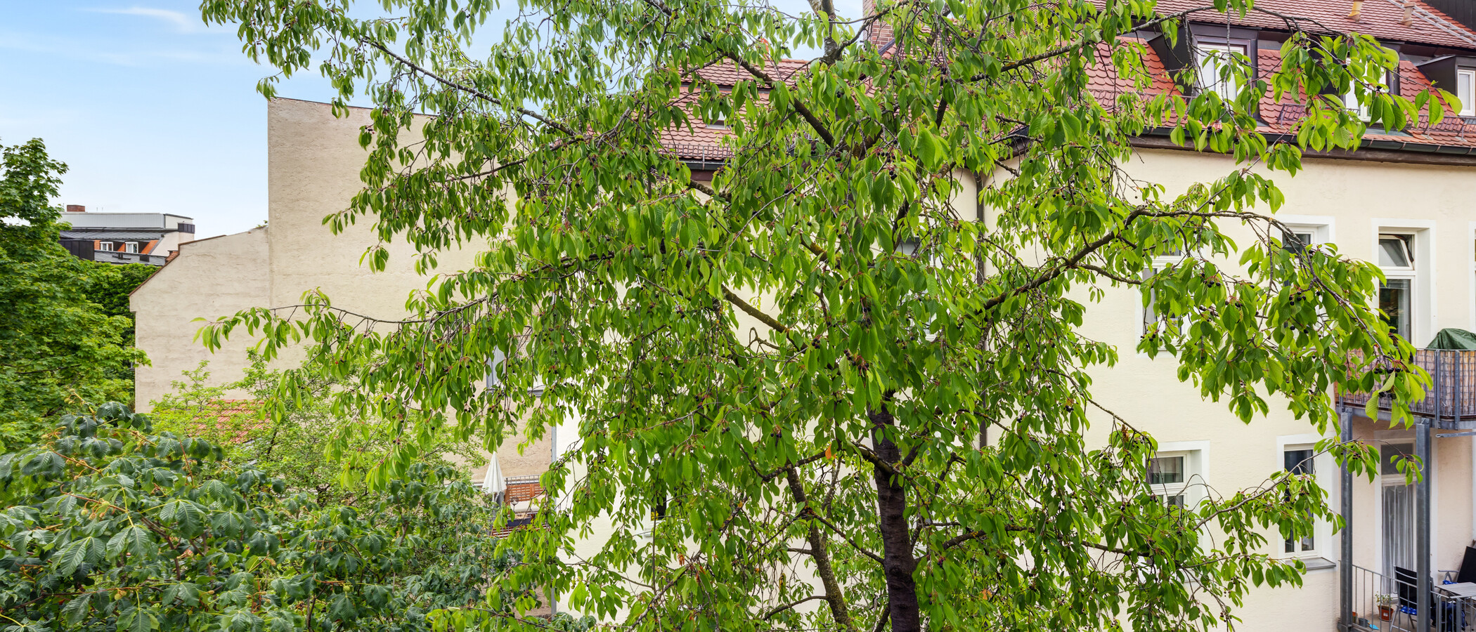 Wohnung München Schwabing-West 01 Aussicht 14894