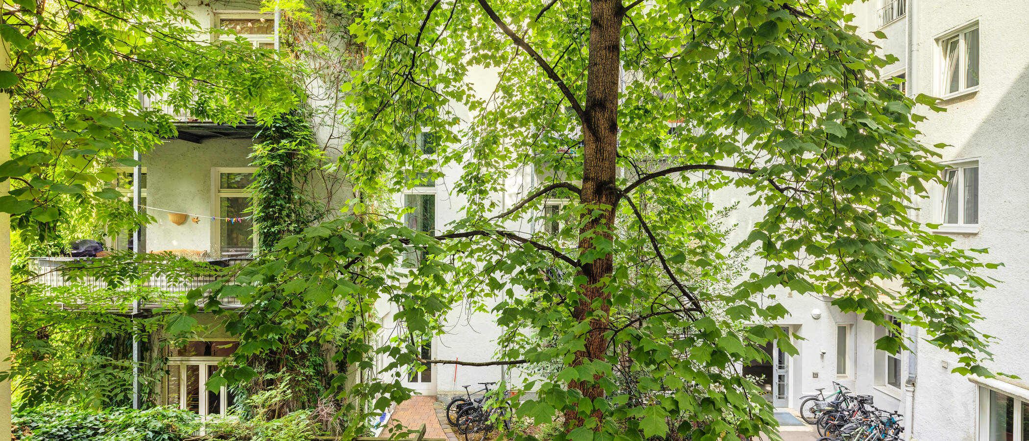 Wohnung München Neuhausen 02 Aussicht 14942