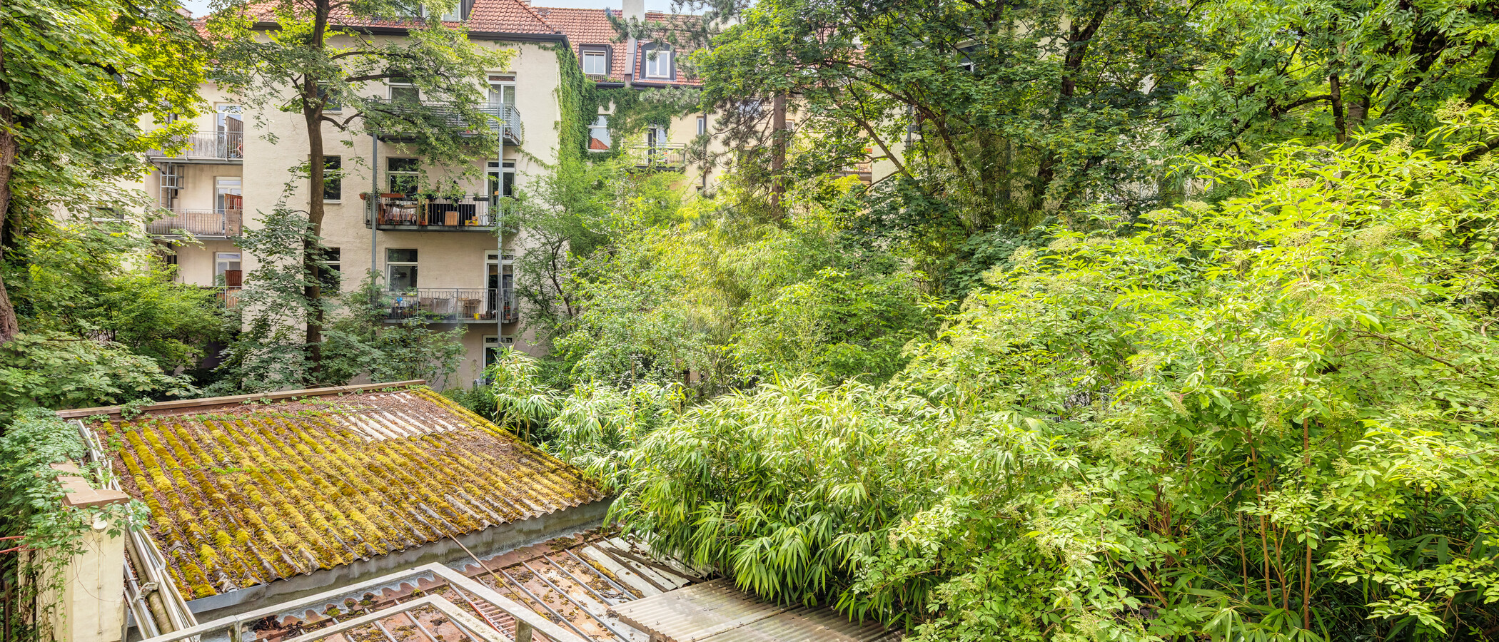 Wohnung München Neuhausen 03 Aussicht 14942