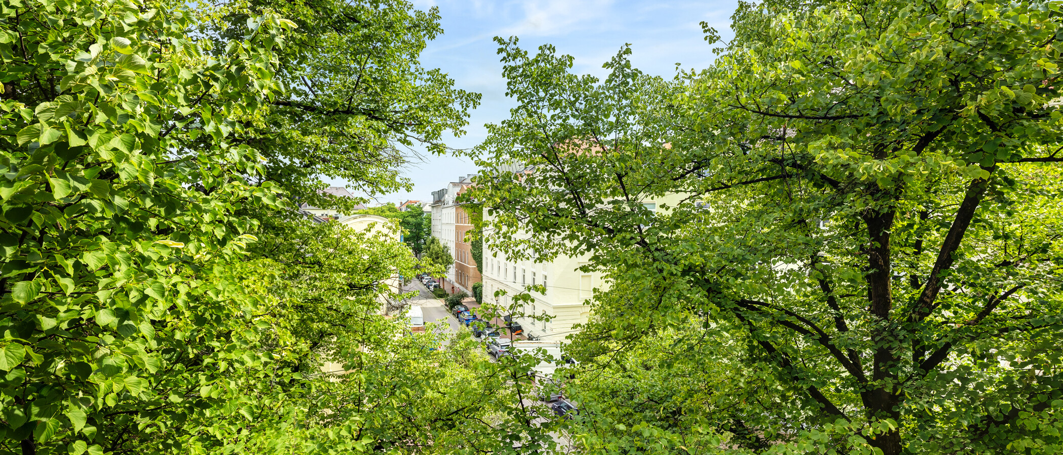 Wohnung München Neuhausen 01 Aussicht 14943