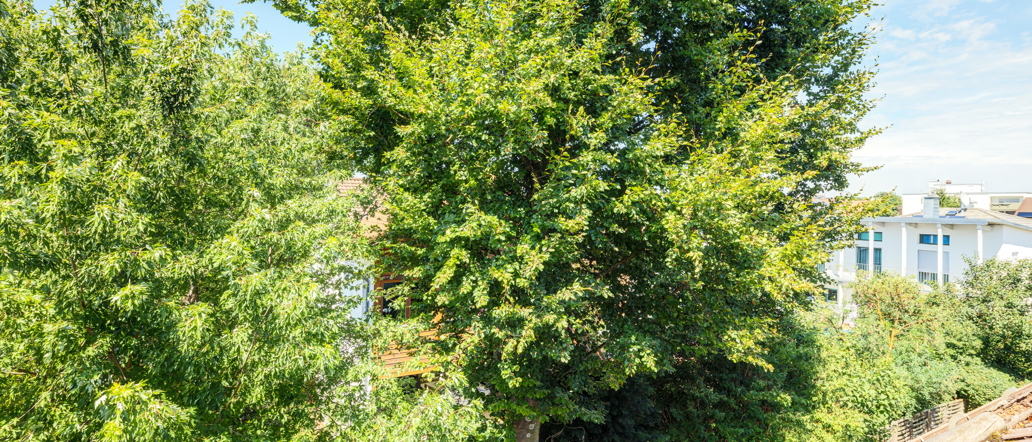 Dachgeschosswohnung Germering 04 Aussicht 14946
