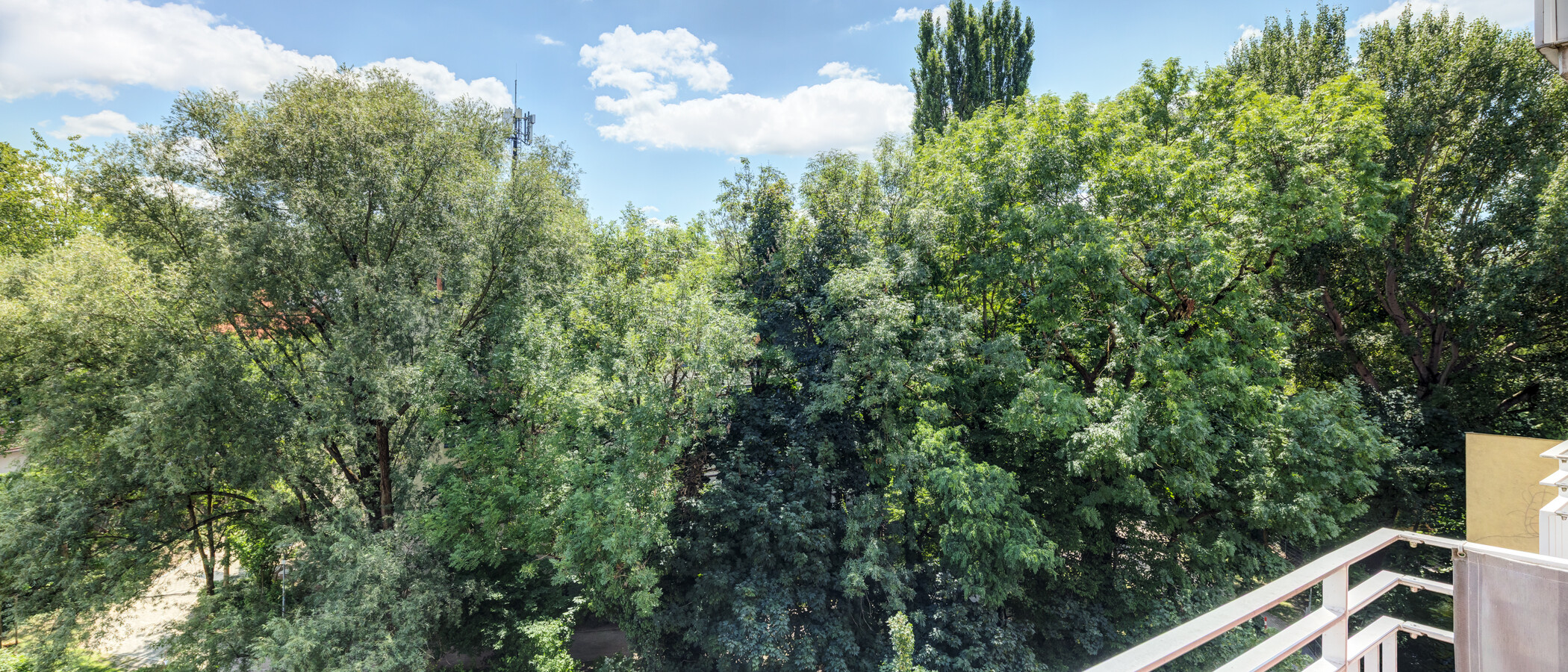 Dachgeschosswohnung München Au 03 Aussicht 14953