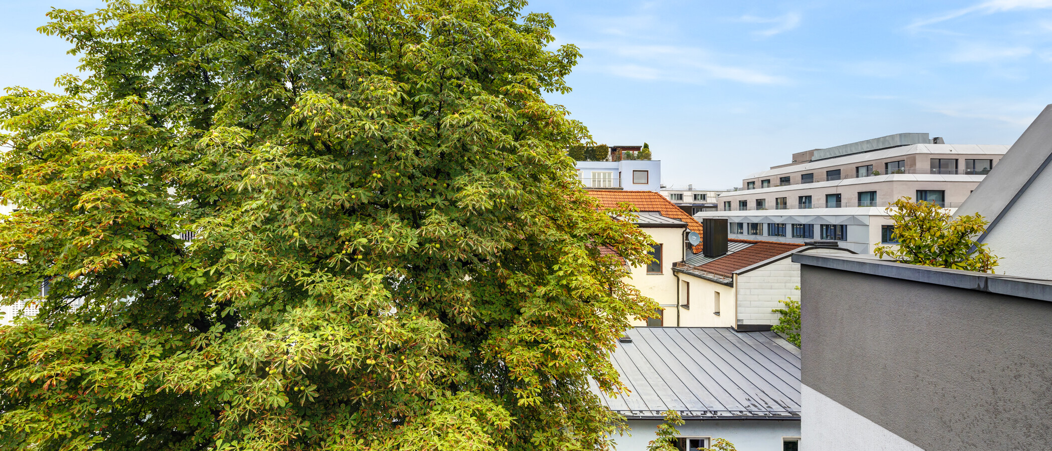 Dachterrassenwohnung München Ludwigsvorstadt 02 Aussicht 14956