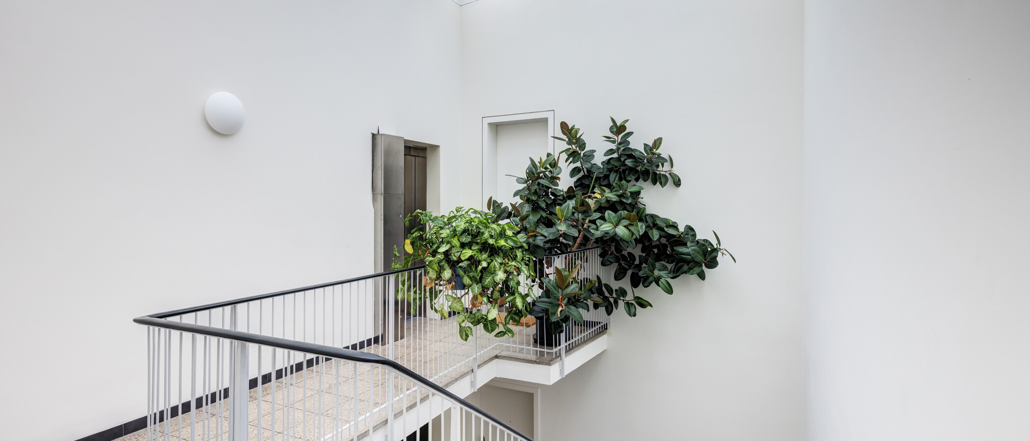 Dachterrassenwohnung München Ludwigsvorstadt 01 Treppenhaus 14956