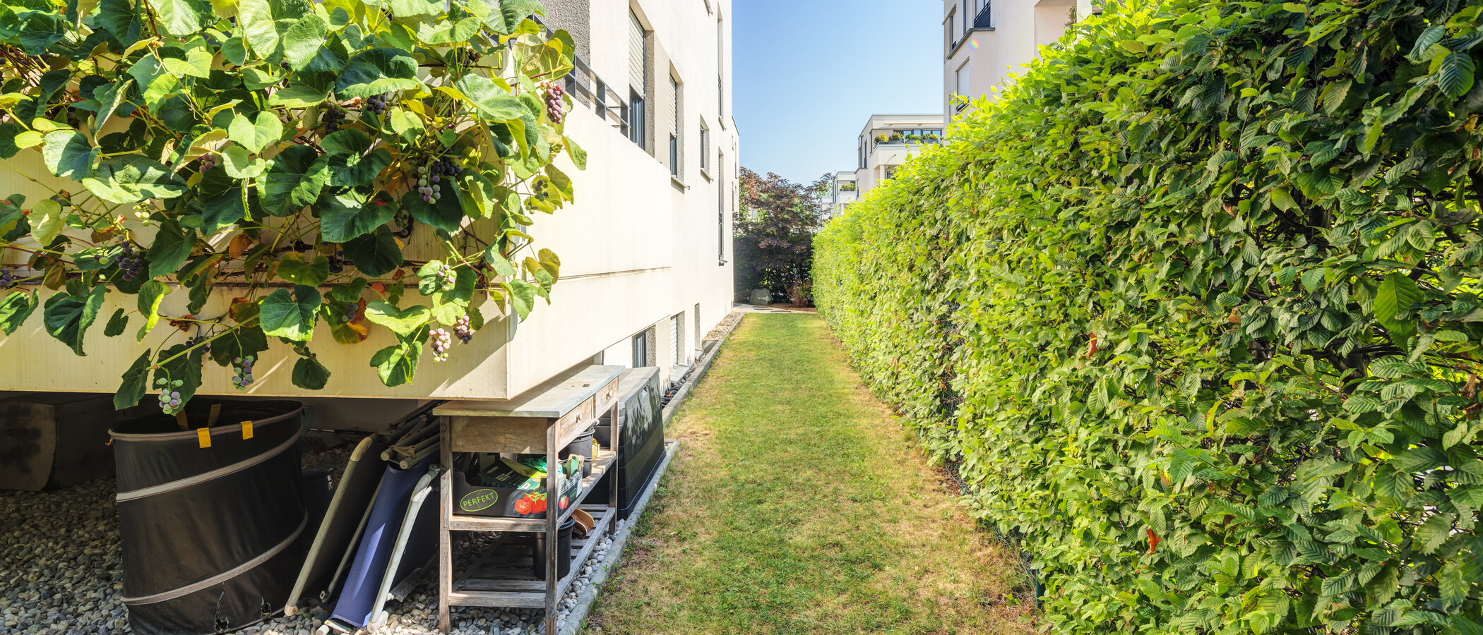 Maisonettewohnung München Oberföhring 03 Garten 14969