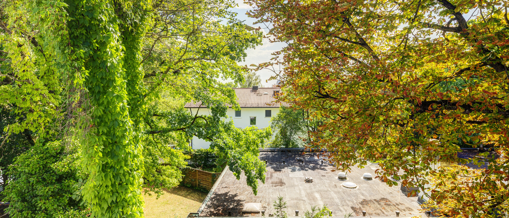 Penthousewohnung München Bogenhausen 01 Aussicht 14972