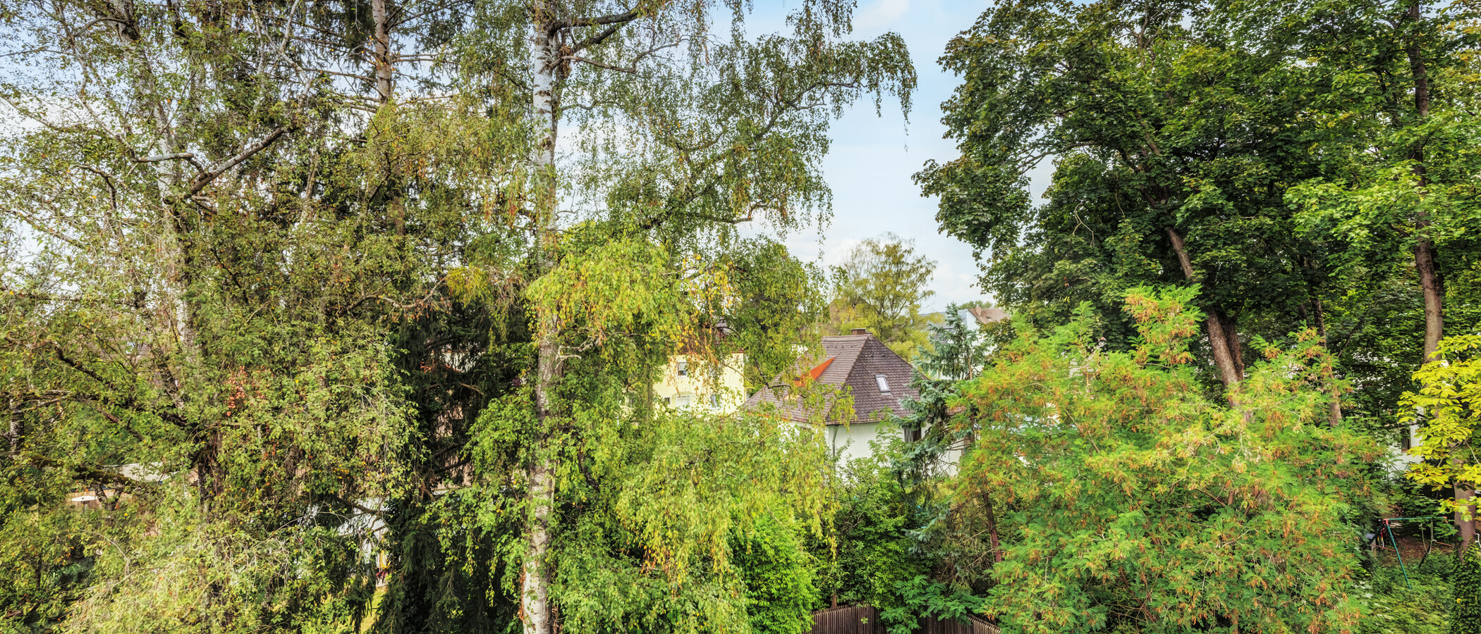 Dachgeschosswohnung München Harlaching 02 Aussicht 14993