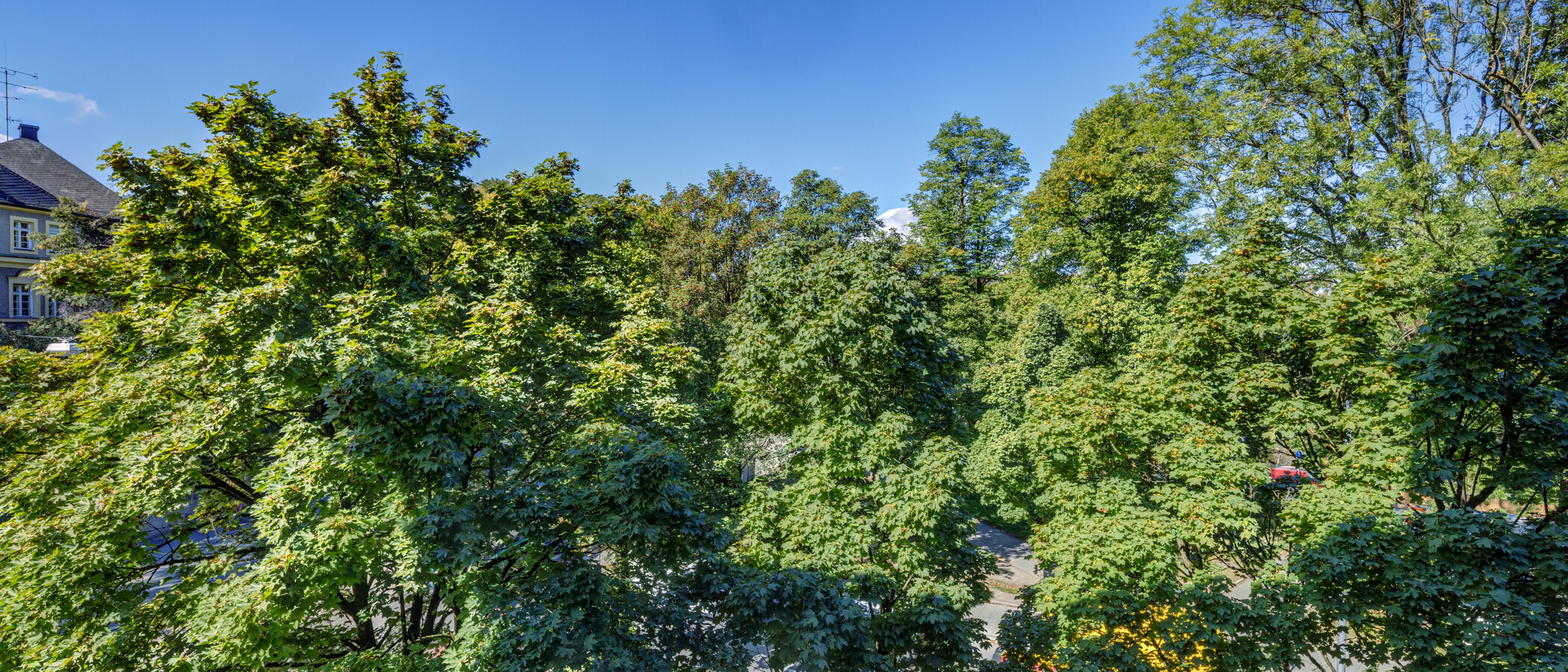 Wohnung München Altbogenhausen 01 Aussicht 14997