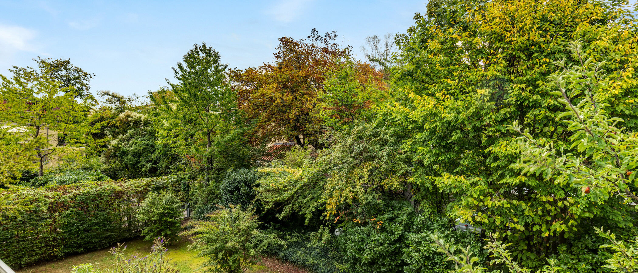 Wohnung München Solln 01 Aussicht 14998