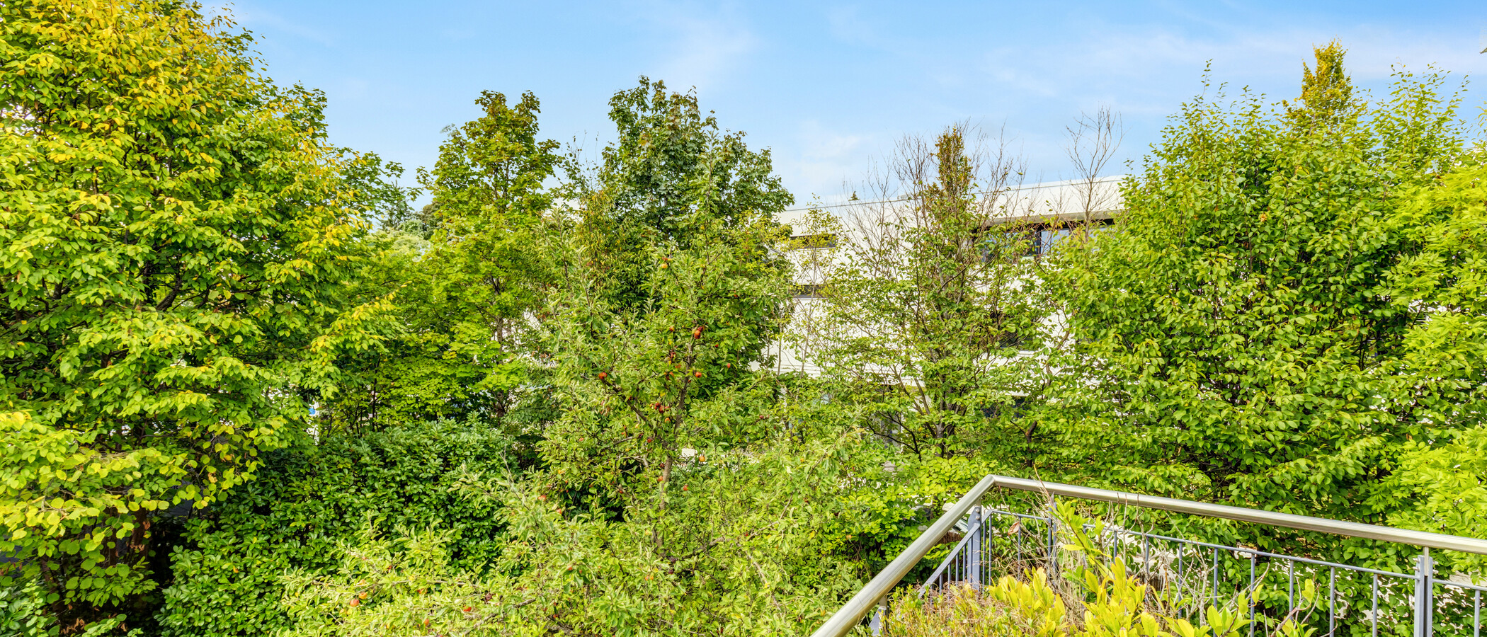 Wohnung München Solln 02 Aussicht 14998