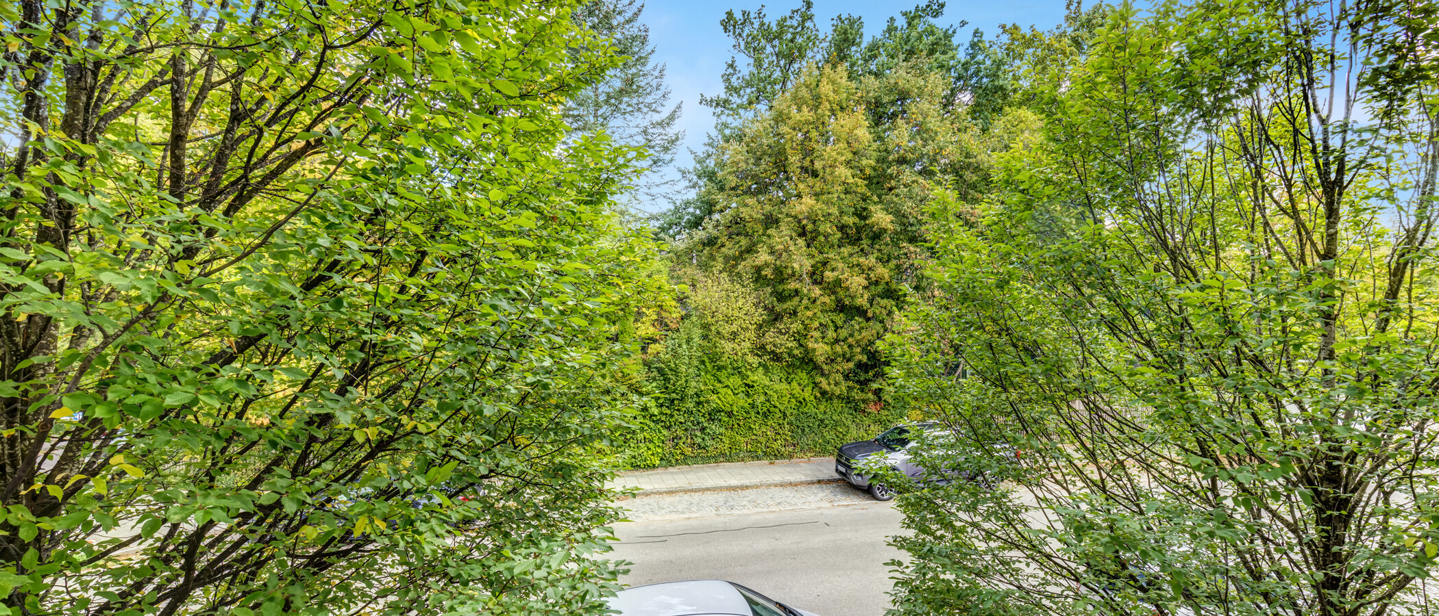 Wohnung München Solln 03 Aussicht 14998