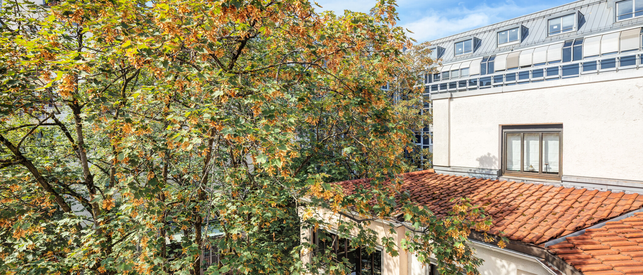 Wohnung München Maxvorstadt 01 Aussicht 15001