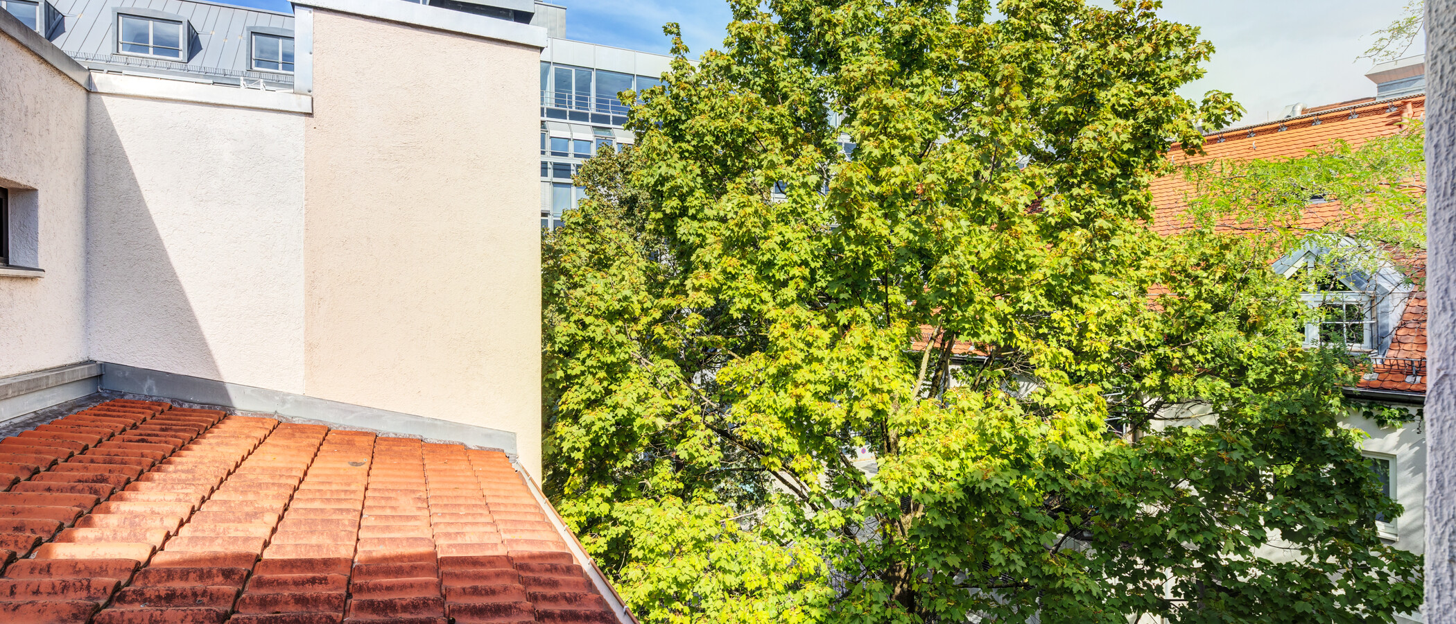 Wohnung München Maxvorstadt 02 Aussicht 15001