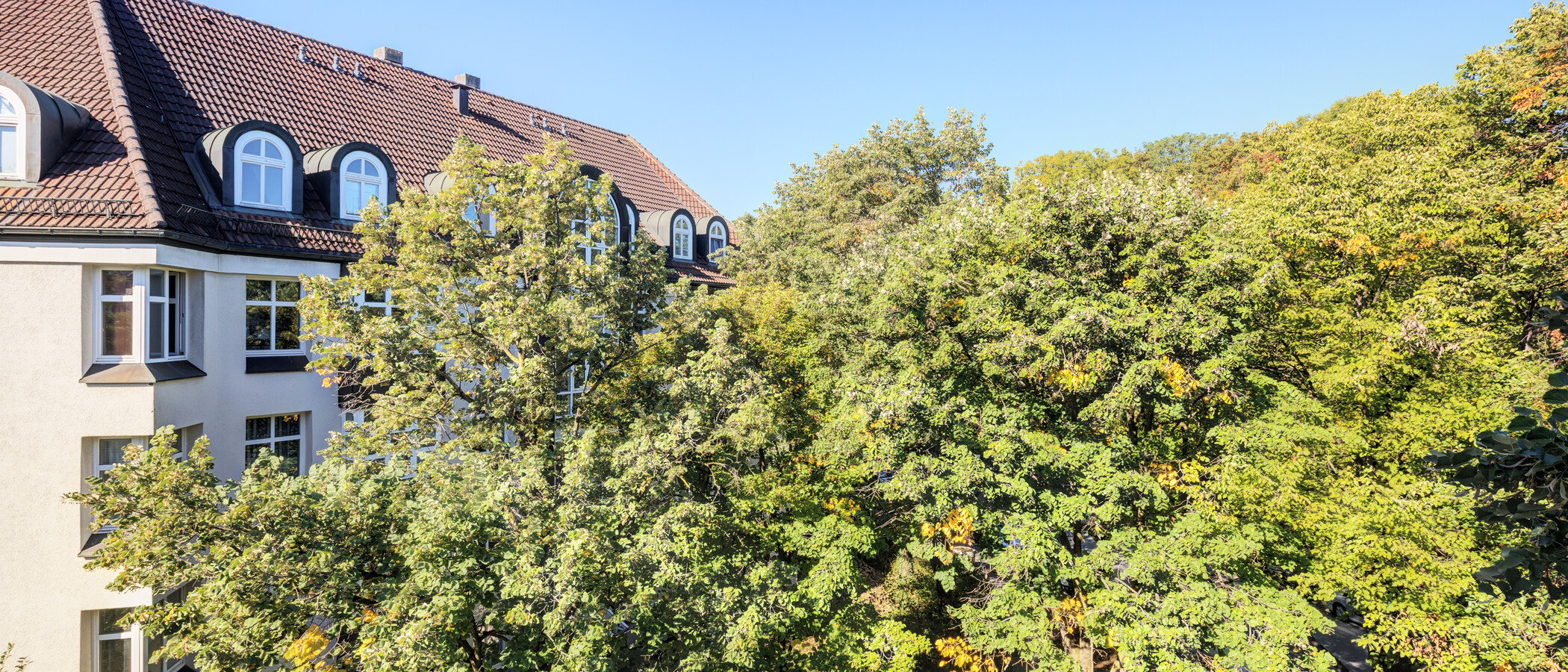Wohnung München Ludwigsvorstadt 03 Aussicht 15023