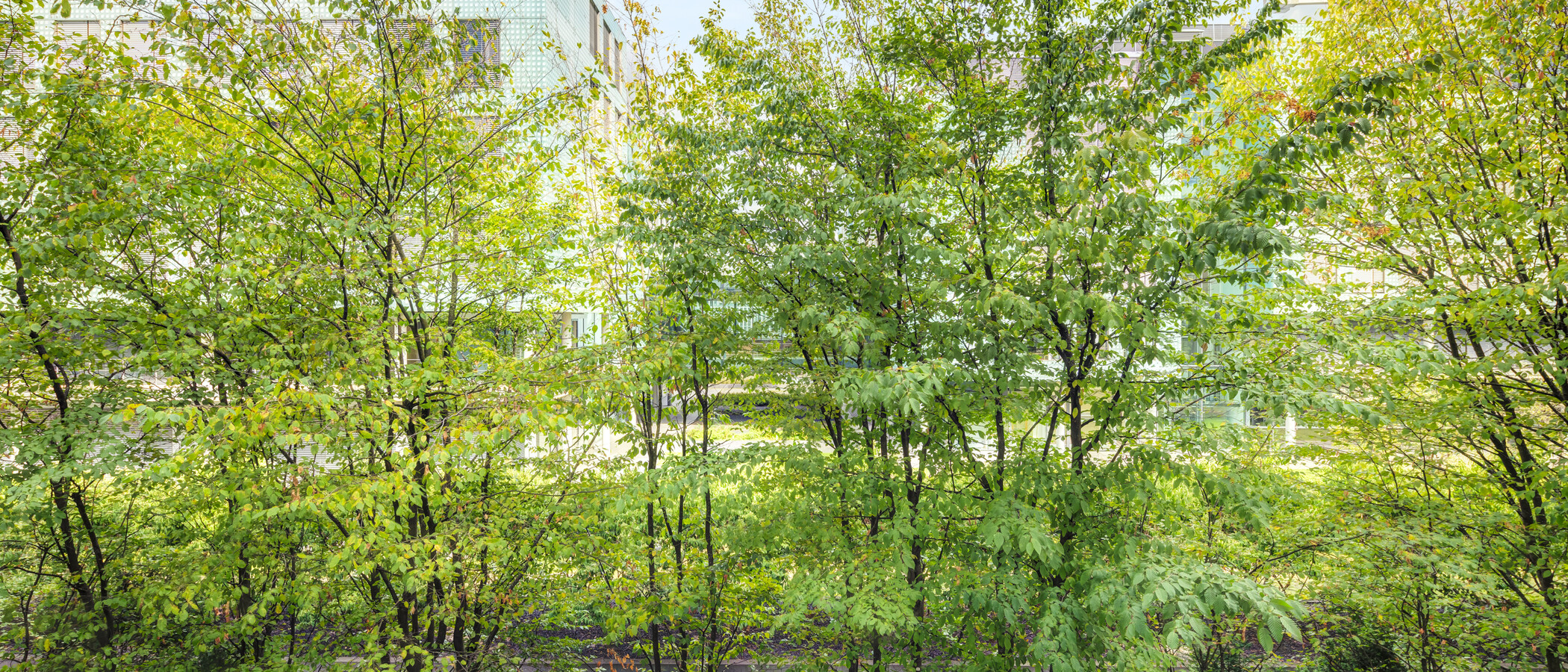 Wohnung München Schwanthalerhöhe 03 Aussicht 15032